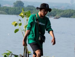 POLUTREE, Program Baru LindungiHutan untuk Pengurangan Emisi Gas Rumah Kaca